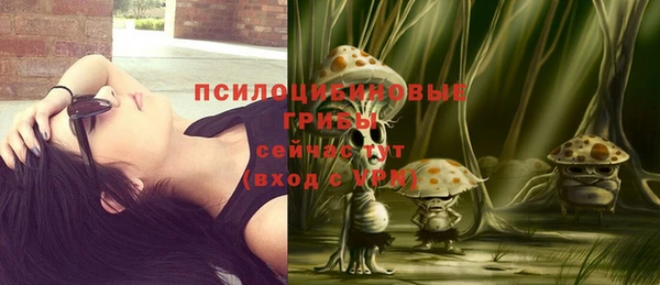 ешки Белокуриха