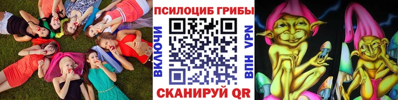OMG онион  Курчалой  Псилоцибиновые грибы Psilocybine cubensis 